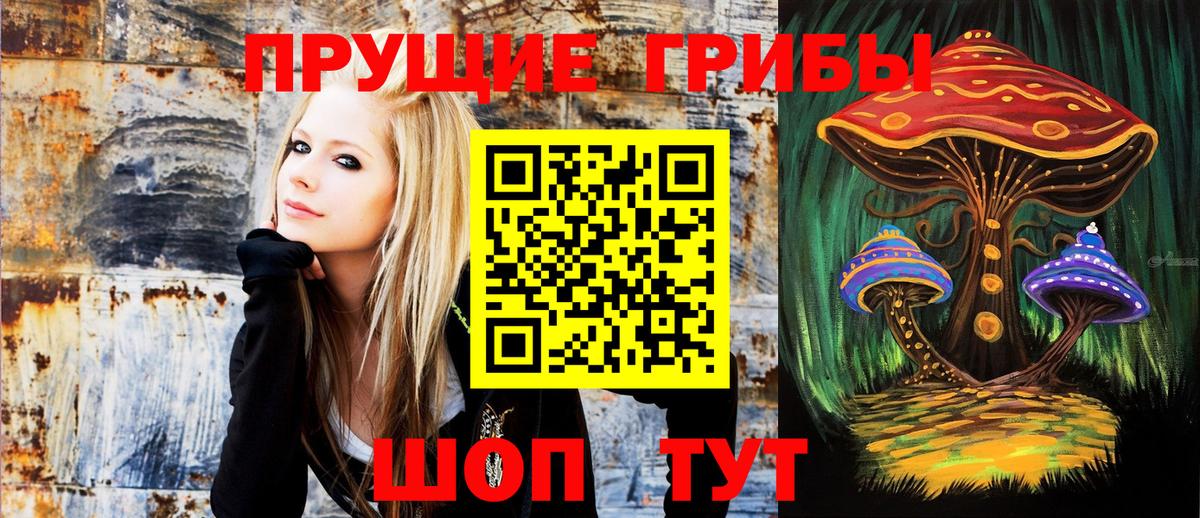 Галлюциногенные грибы MAGIC MUSHROOMS Новокубанск
